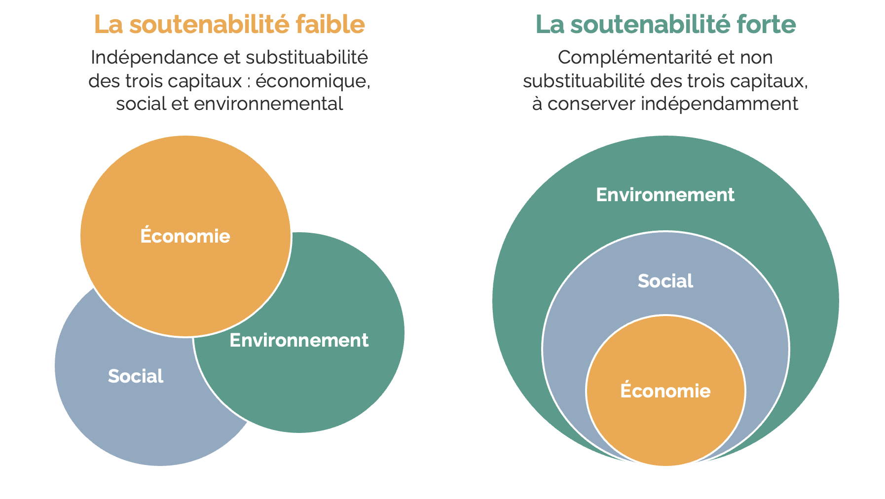 Exploration Des Modèles économiques Soutenables Par Suricats